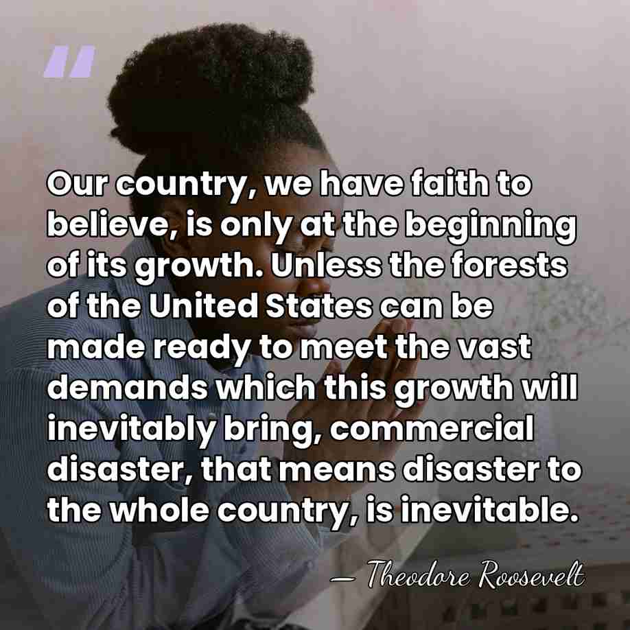 Our country, we have faith to believe, is only at the beginning&hellip; - Theodore Roosevelt