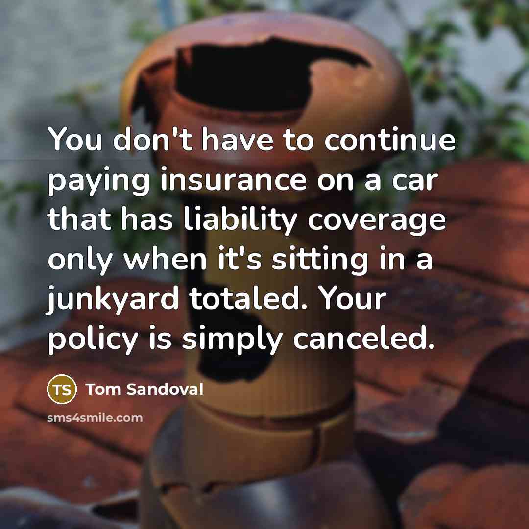 “You don't have to continue paying insurance on a car…” quote by Tom Sandoval