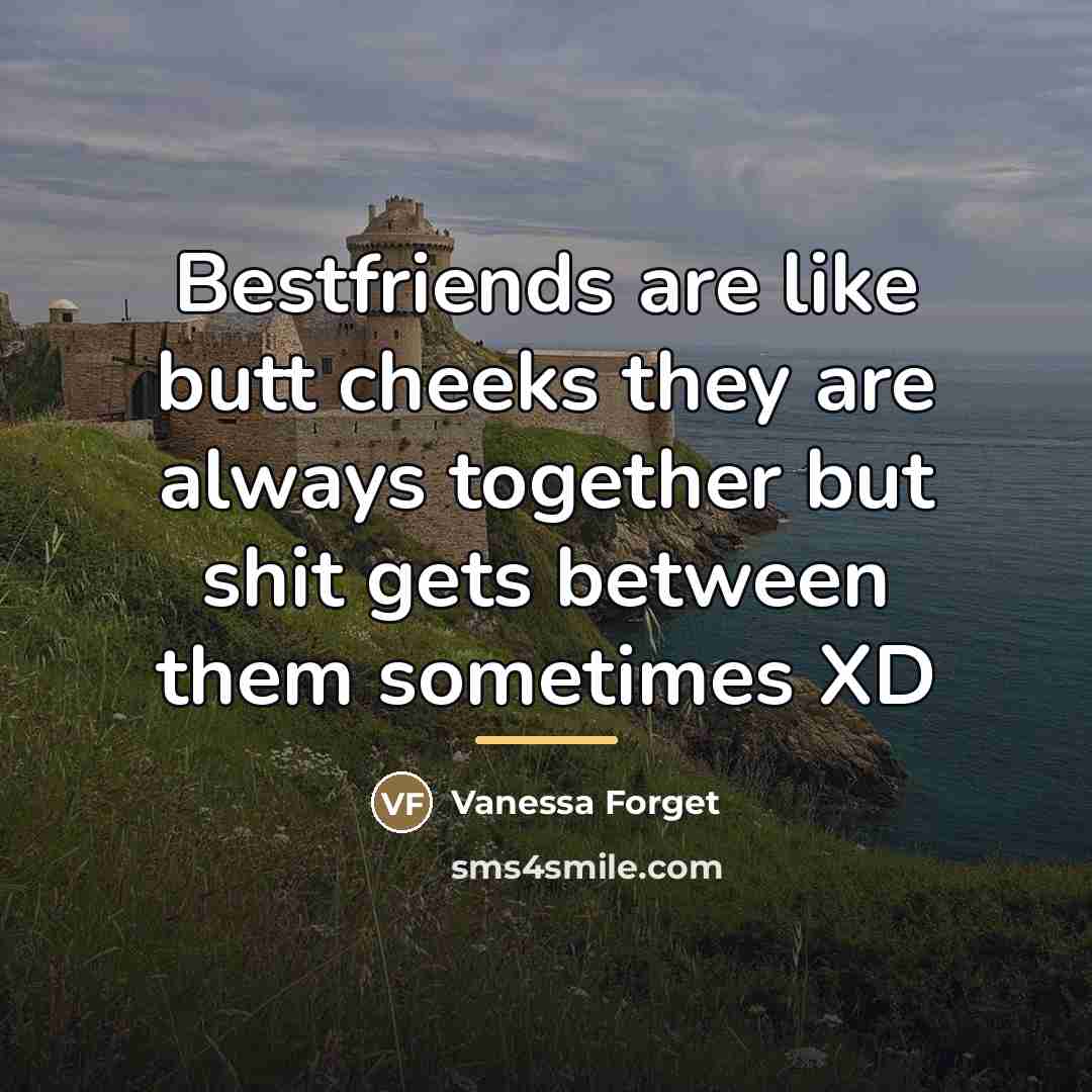 “Bestfriends are like butt cheeks they are always together but…” quote by Anonymous