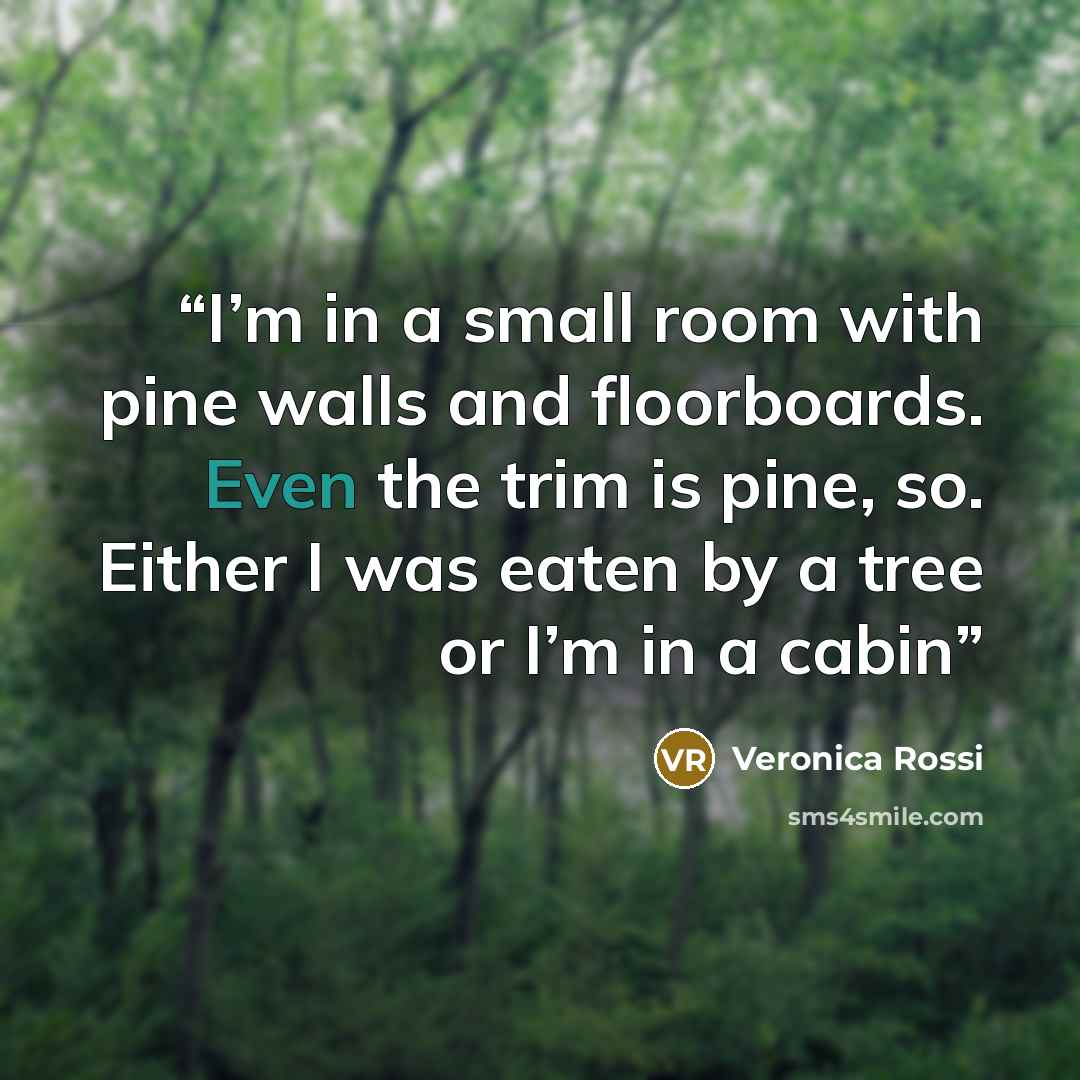 “I’m in a small room with pine walls and floorboards. Even the trim is pine, so. Either I was eaten by a tree or I’m in a cabin” quote by Veronica Rossi