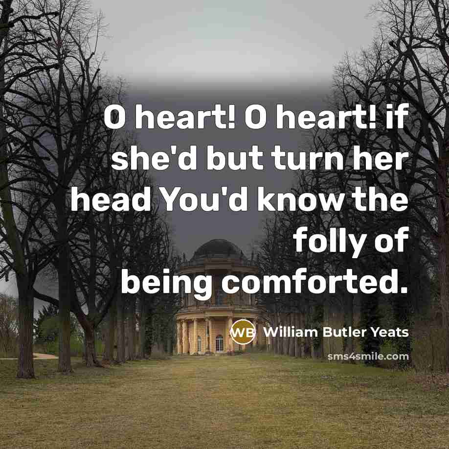 “O heart! O heart! if she'd but turn her head…” quote by William Butler Yeats