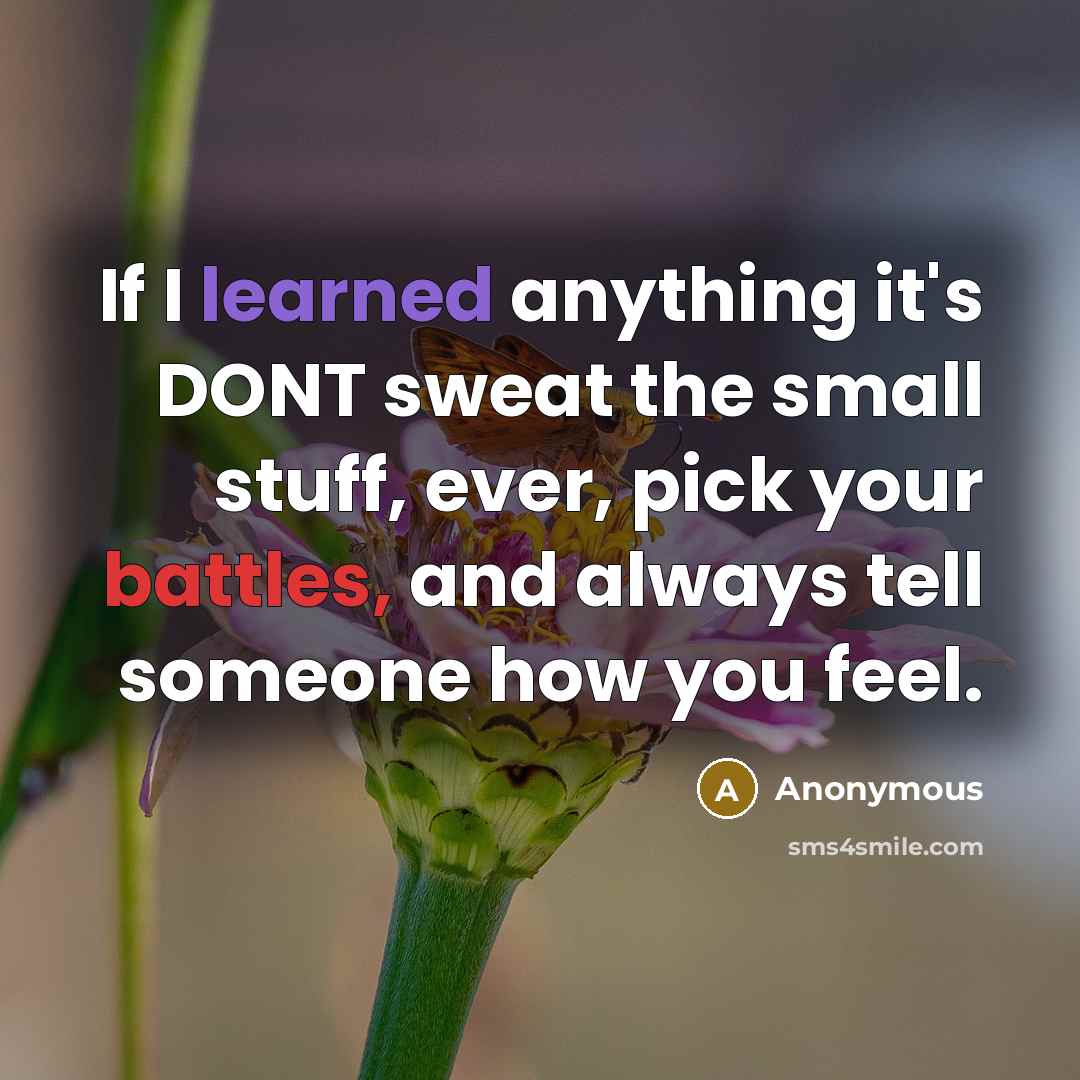 “If I learned anything it's DONT sweat the small stuff, ever, pick your battles, and always tell someone how you feel.” quote by Anonymous
