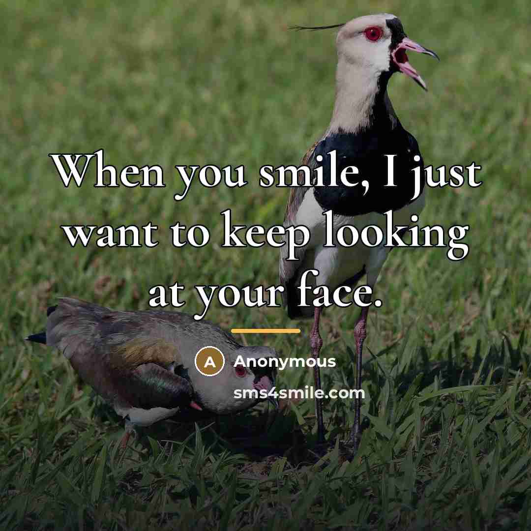 “When you smile, I just want to keep looking at…” quote by Anonymous