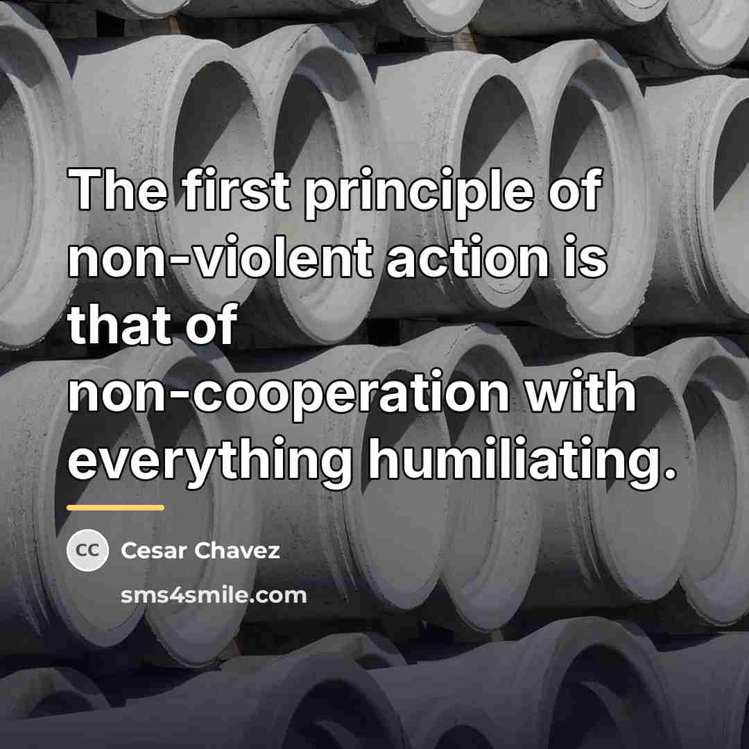 “The first principle of non-violent action is that of non-cooperation…” quote by Cesar Chavez