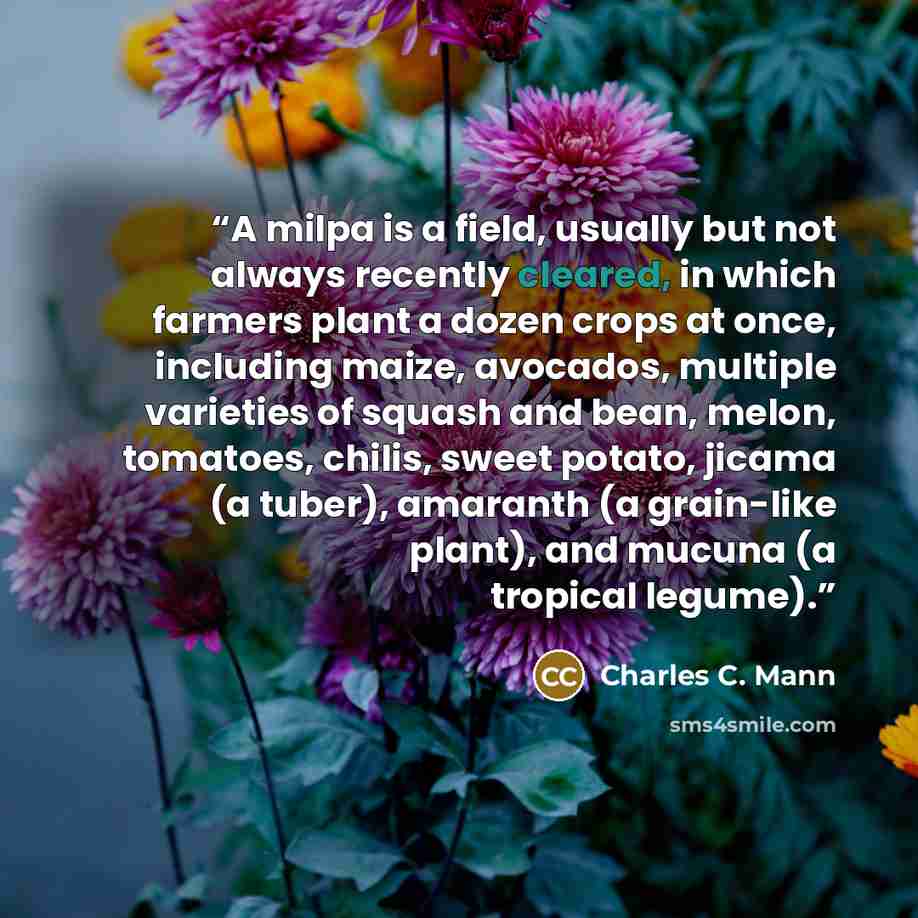 “A milpa is a field, usually but not always recently cleared, in which farmers plant a dozen crops at once, including maize, avocados, multiple varieties of squash and bean, melon, tomatoes, chilis, sweet potato, jicama (a tuber), amaranth (a grain-like plant), and mucuna (a tropical legume).” quote by Charles C. Mann