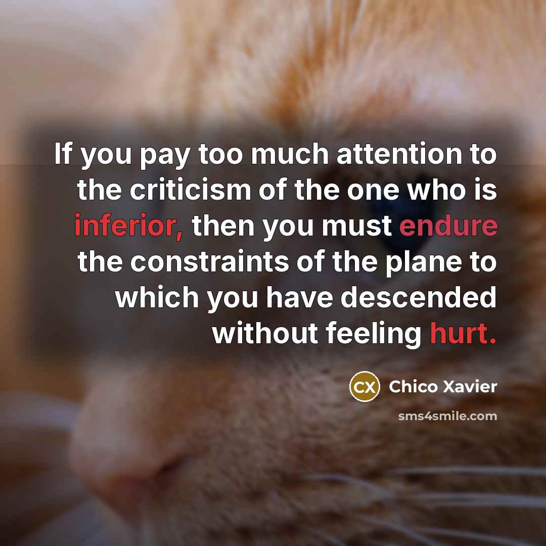 “If you pay too much attention to the criticism of…” quote by Chico Xavier