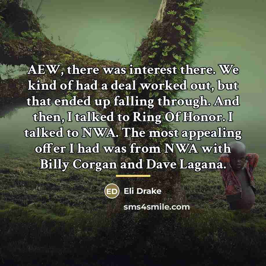 “AEW, there was interest there. We kind of had a…” quote by Eli Drake