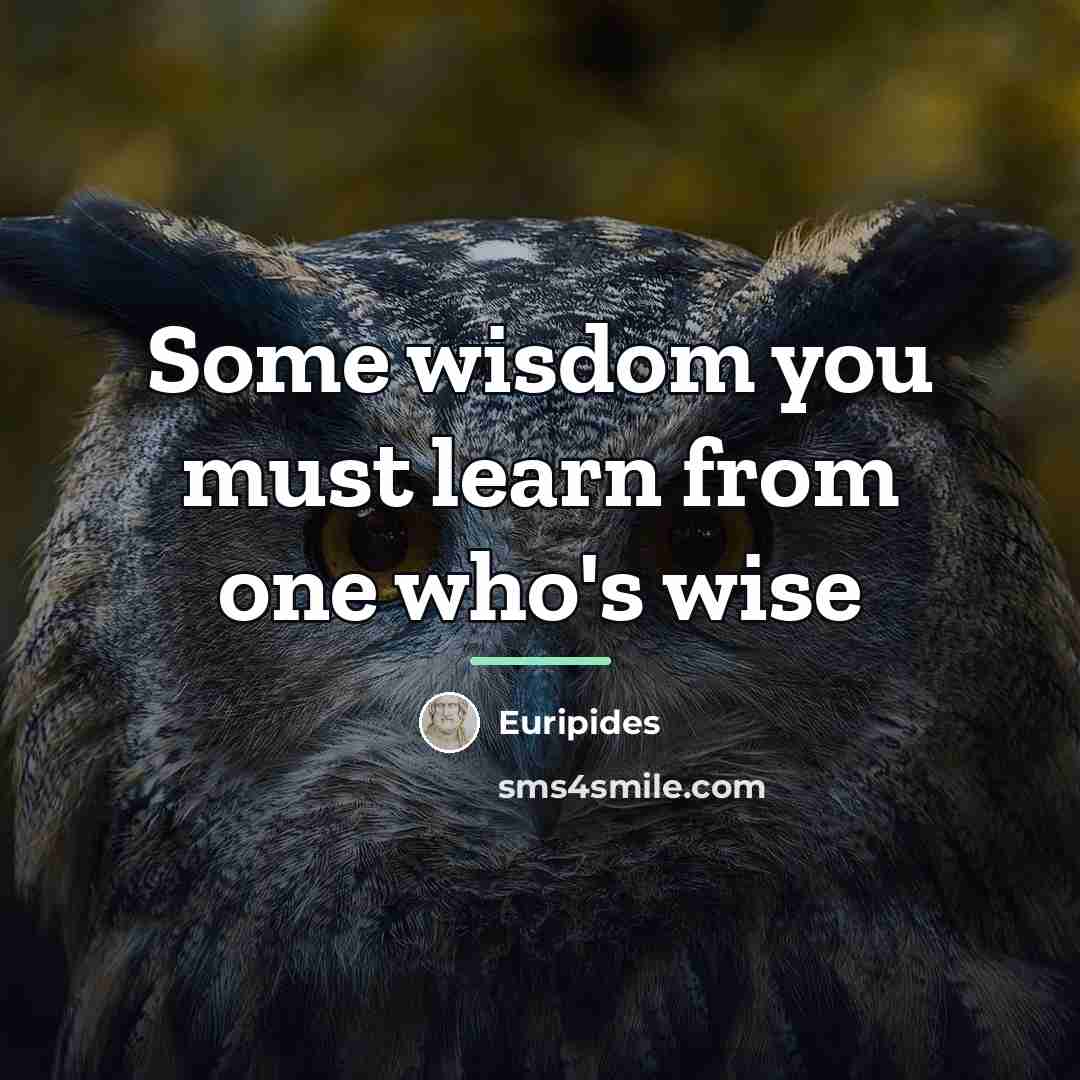 “Some wisdom you must learn from one who's wise…” quote by Euripides
