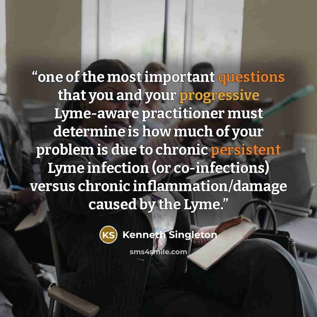 “one of the most important questions that you and your progressive Lyme-aware practitioner must determine is how much of your problem is due to chronic persistent Lyme infection (or co-infections) versus chronic inflammation/damage caused by the Lyme.” quote by Kenneth Singleton