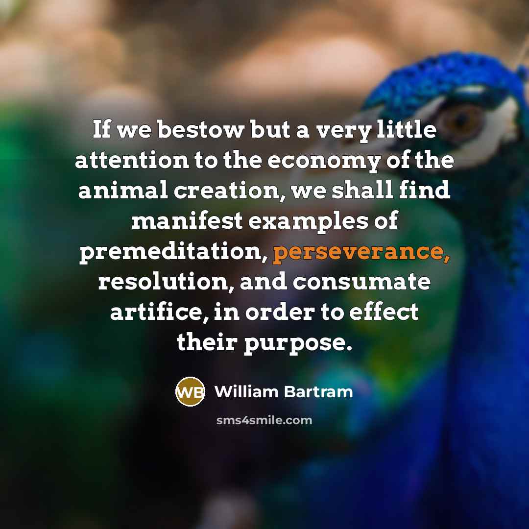 “If we bestow but a very little attention to the…” quote by William Bartram
