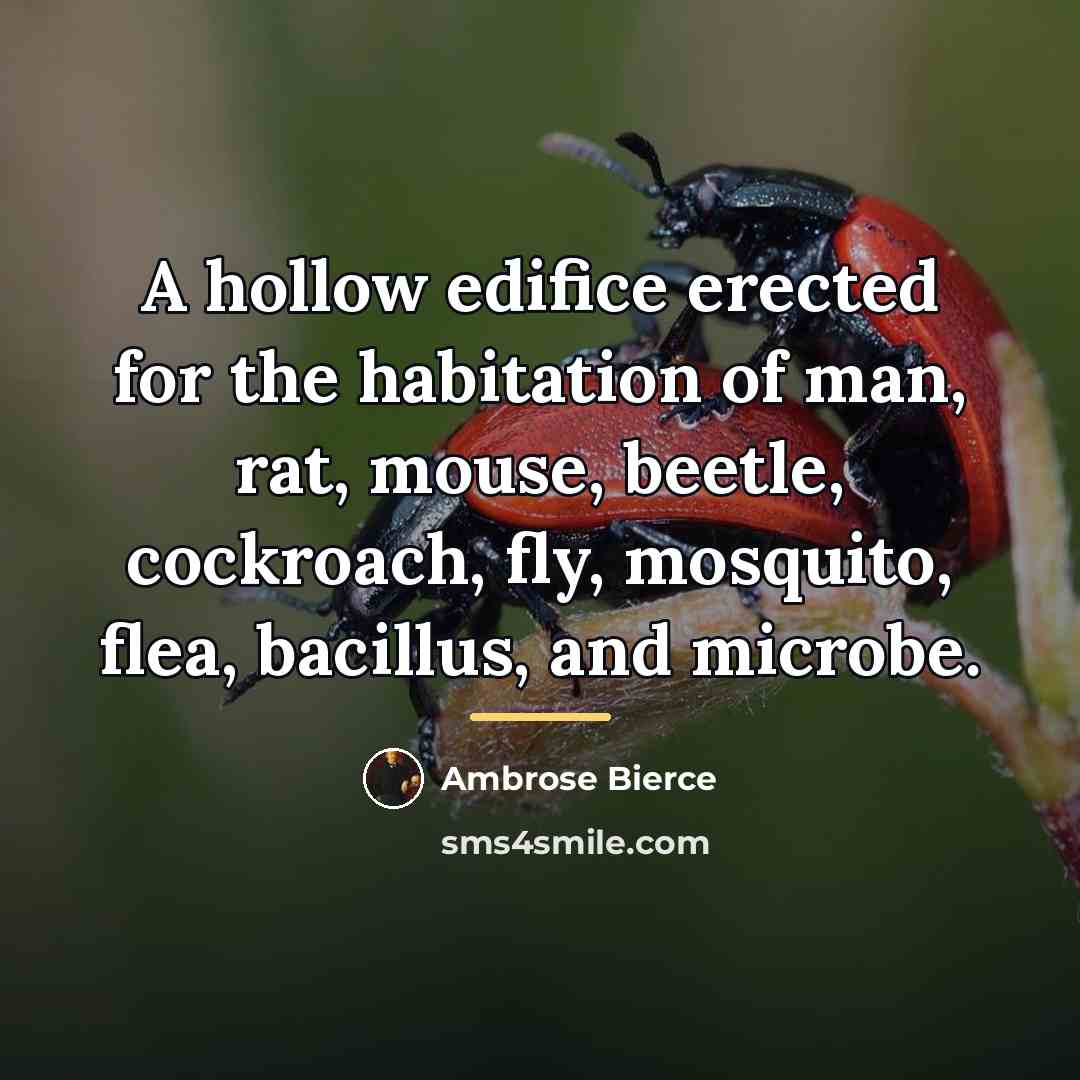 “A hollow edifice erected for the habitation of man, rat,…” quote by Ambrose Bierce