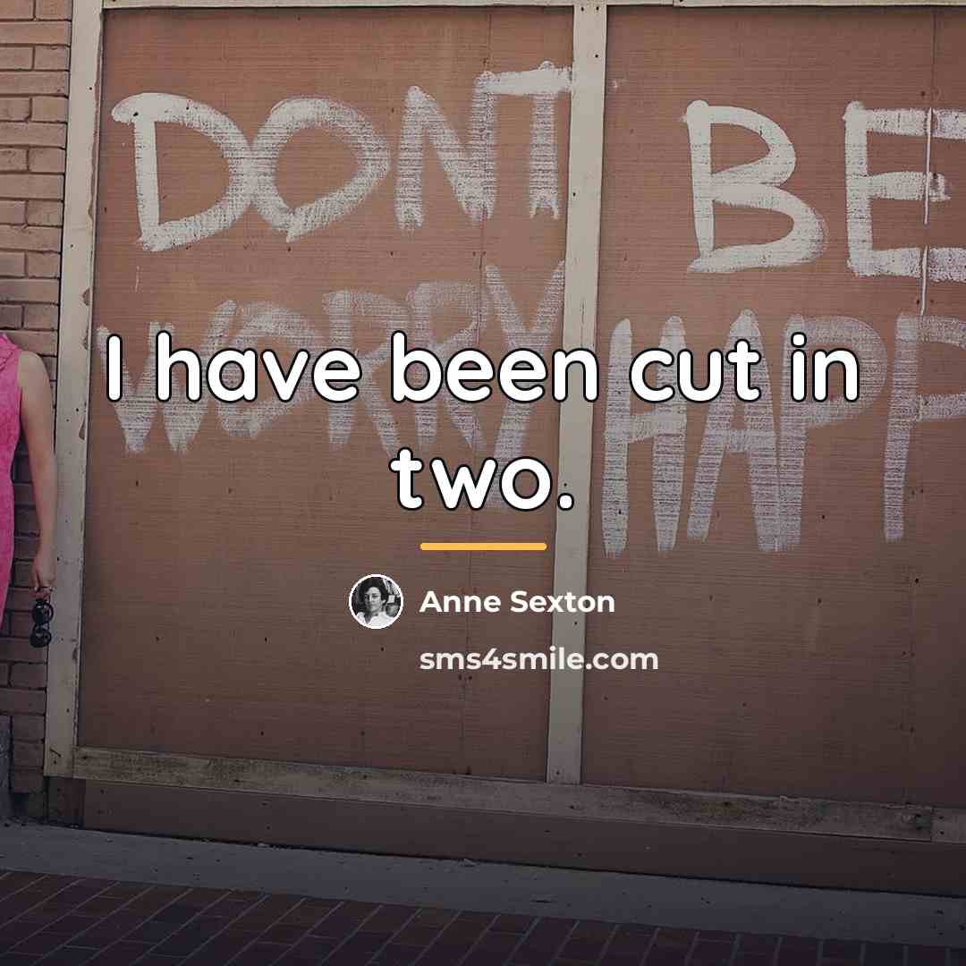 “I have been cut in two.…” quote by Anne Sexton