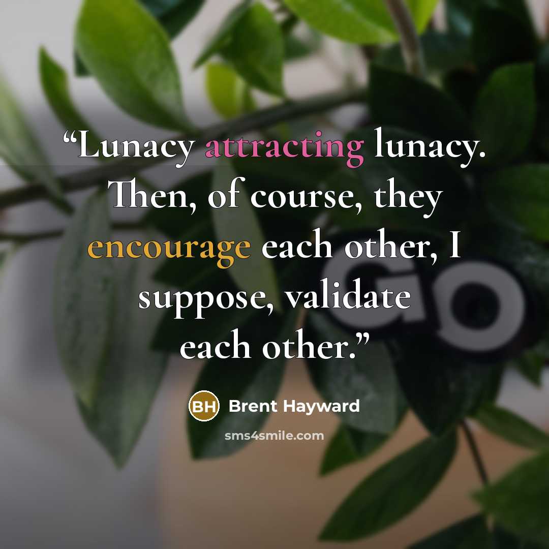 “Lunacy attracting lunacy. Then, of course, they encourage each other, I suppose, validate each other.” quote by Brent Hayward