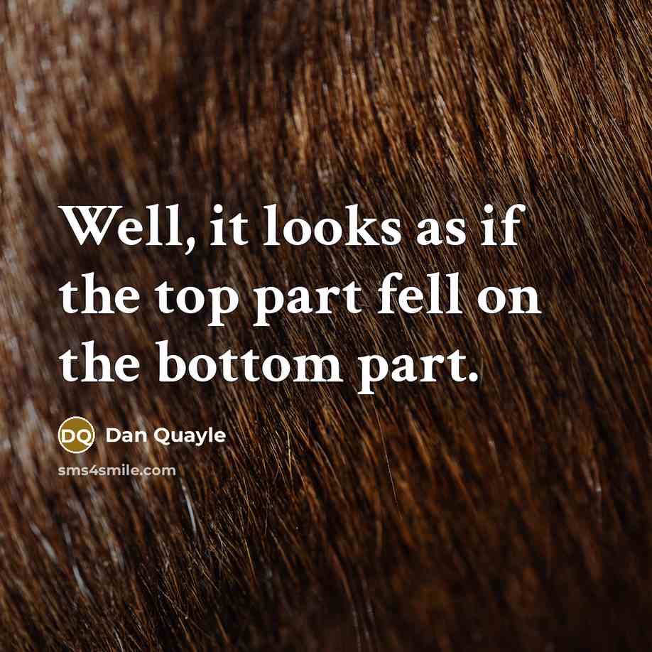 “Well, it looks as if the top part fell on…” quote by Dan Quayle