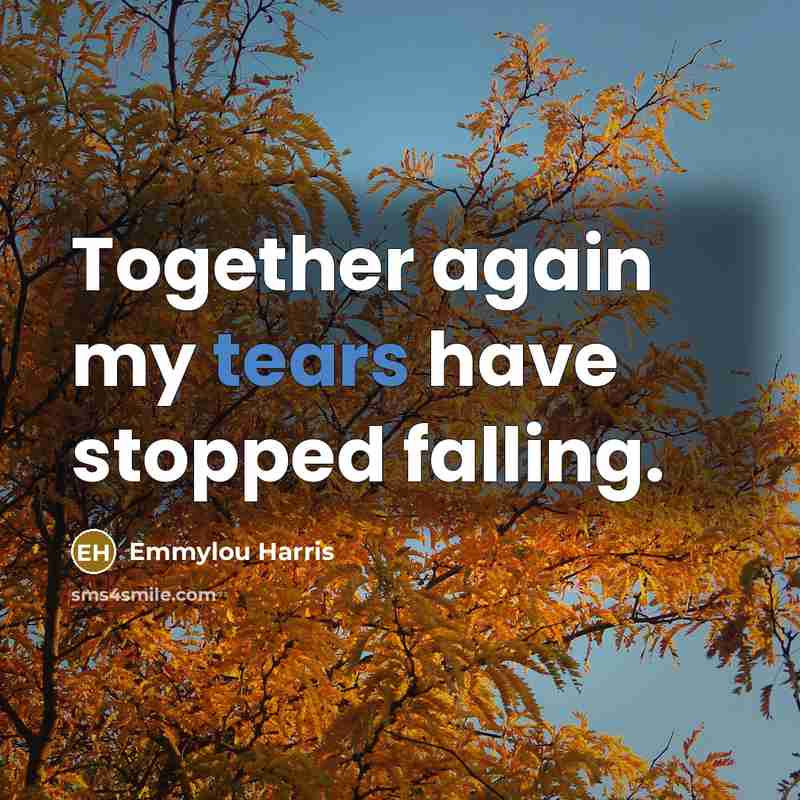 “Together again my tears have stopped falling.” quote by Emmylou Harris