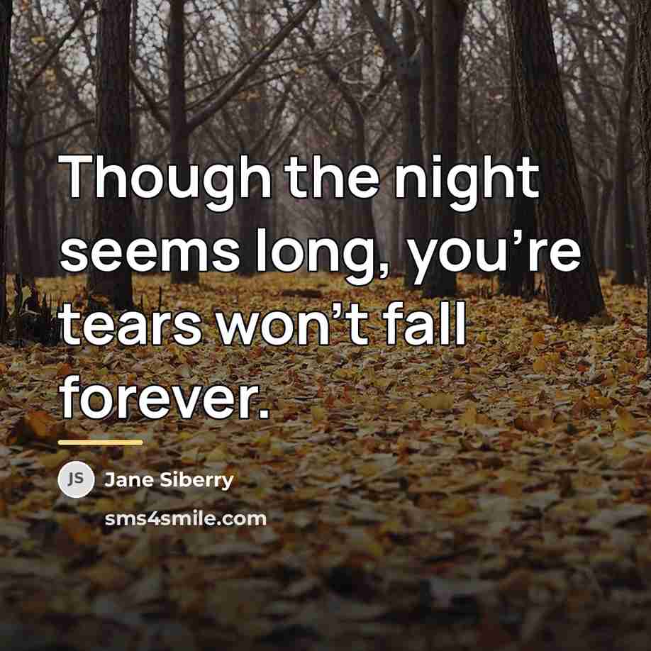 “Though the night seems long, you're tears won't fall forever.…” quote by Jane Siberry