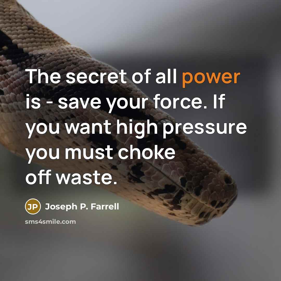 “The secret of all power is - save your force.…” quote by Joseph P. Farrell