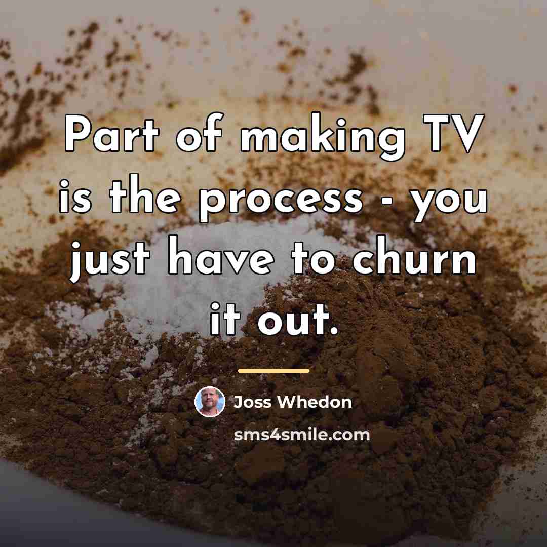 “Part of making TV is the process - you just…” quote by Joss Whedon