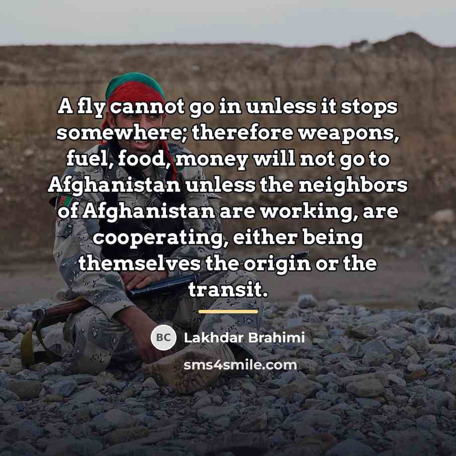 “A fly cannot go in unless it stops somewhere; therefore…” quote by Lakhdar Brahimi
