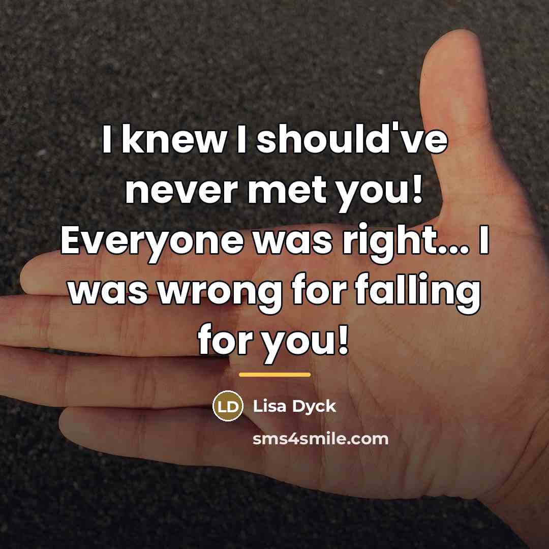 “I knew I should've never met you! Everyone was right...…” quote by Anonymous