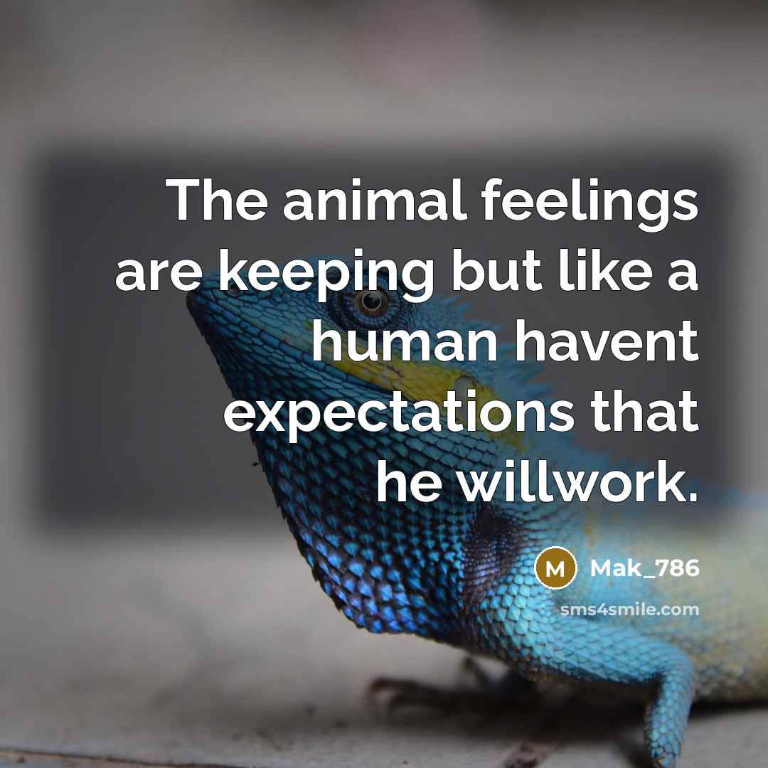“The animal feelings are keeping but like a human havent expectations that he willwork.” quote by Mak_786