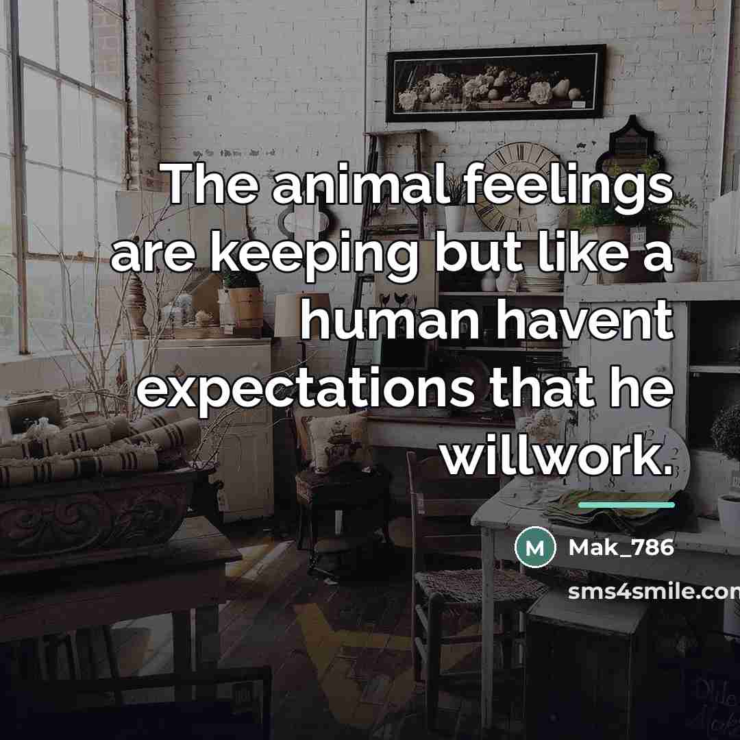 “The animal feelings are keeping but like a human havent…” quote by Mak_786