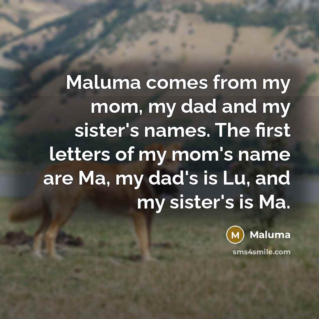 “Maluma comes from my mom, my dad and my sister's…” quote by Maluma