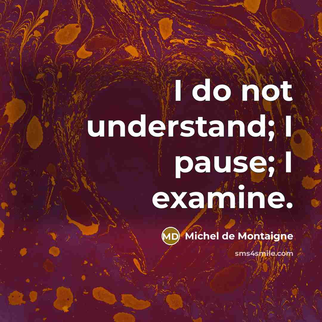 “I do not understand; I pause; I examine.…” quote by Michel de Montaigne