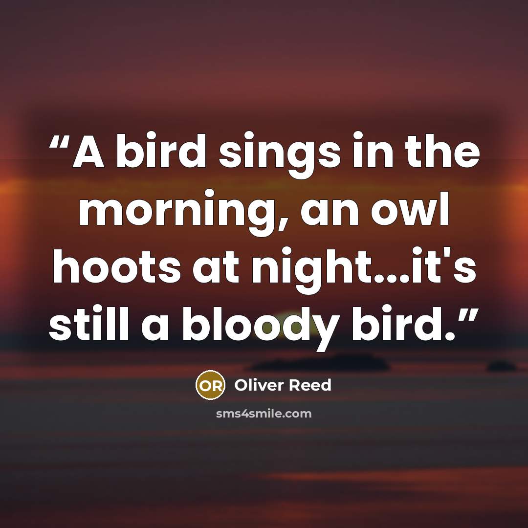 “A bird sings in the morning, an owl hoots at night...it's still a bloody bird.” quote by Oliver Reed