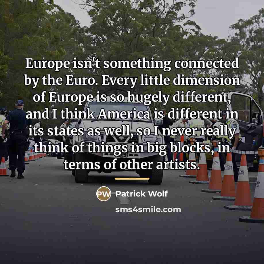 “Europe isn't something connected by the Euro. Every little dimension…” quote by Patrick Wolf
