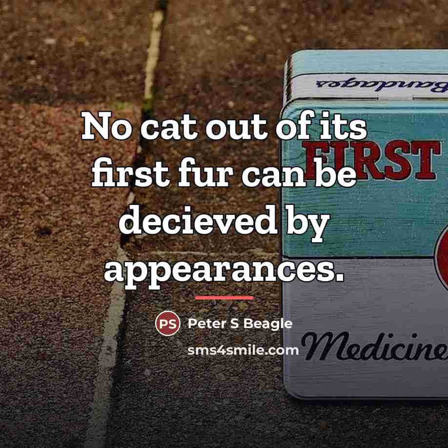 “No cat out of its first fur can be decieved…” quote by Peter S Beagle