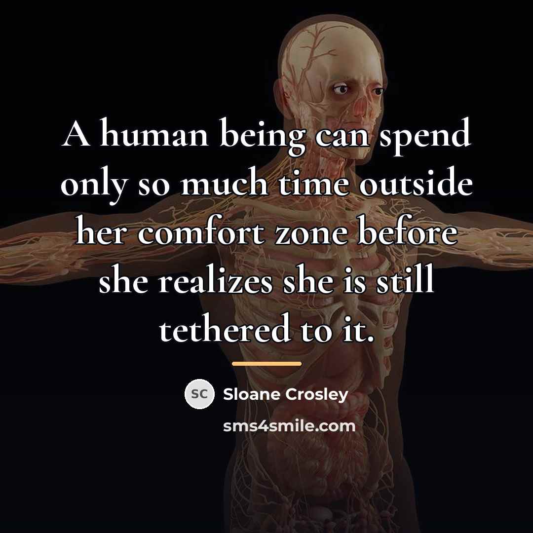 “A human being can spend only so much time outside…” quote by Sloane Crosley
