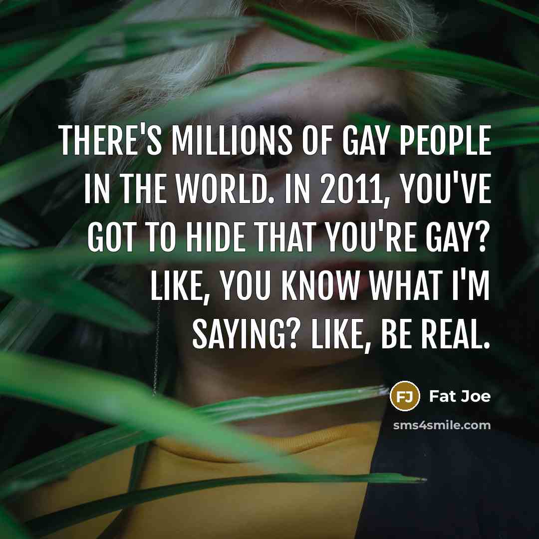 “There's millions of gay people in the world. In 2011,…” quote by Fat Joe