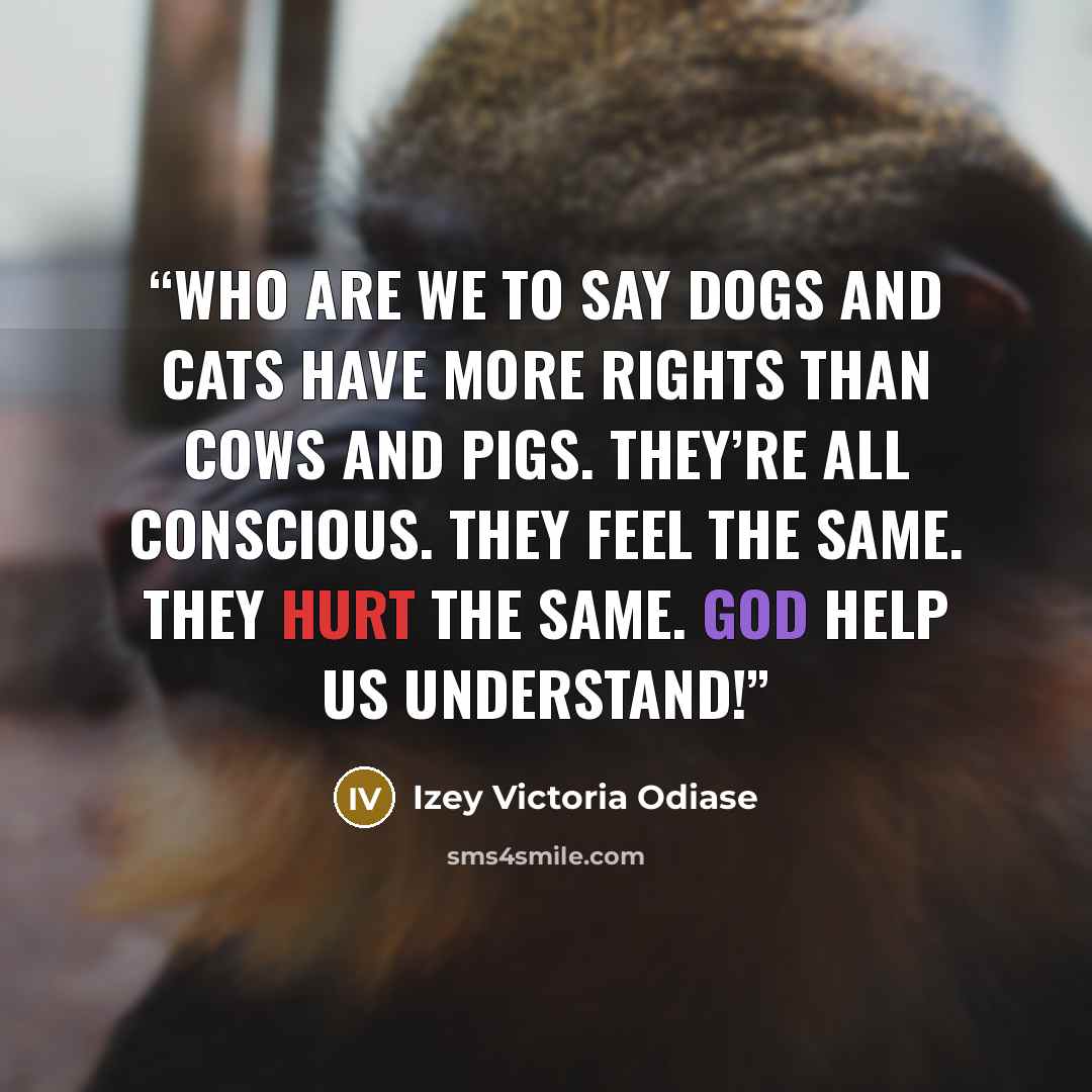 “Who are we to say dogs and cats have more rights than cows and pigs. They’re all conscious. They feel the same. They hurt the same. God help us understand!” quote by Izey Victoria Odiase