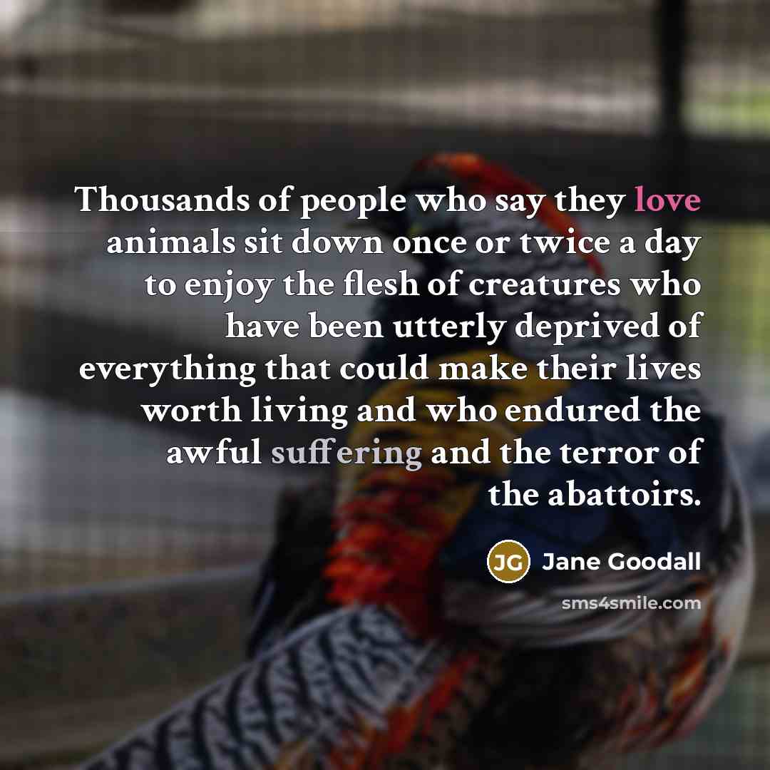 “Thousands of people who say they love animals sit down…” quote by Jane Goodall