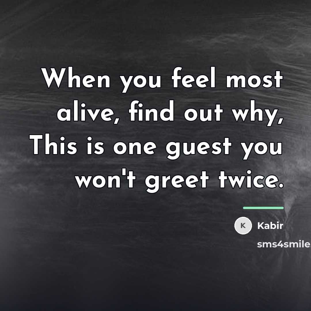 “When you feel most alive, find out why, This is…” quote by Kabir