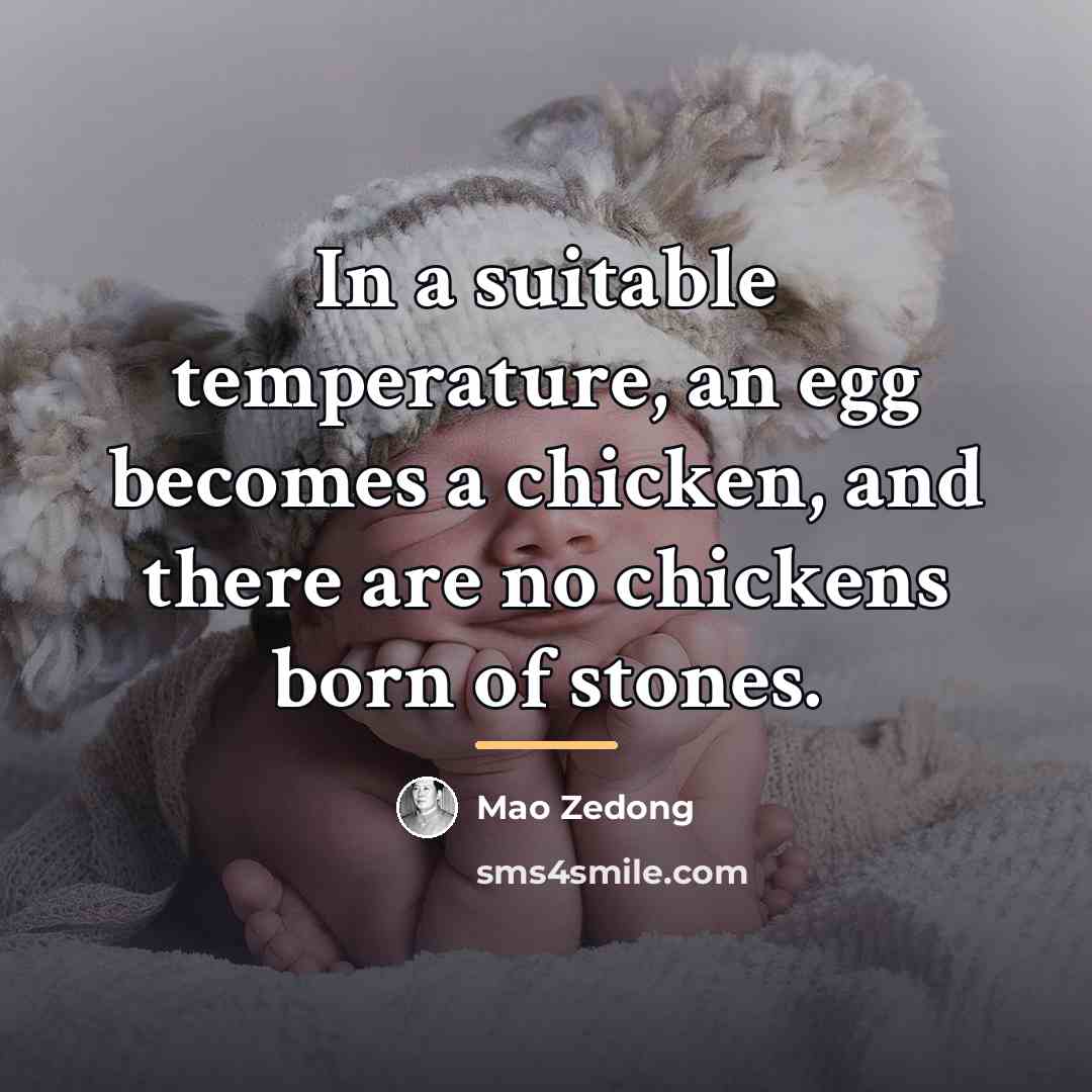 “In a suitable temperature, an egg becomes a chicken, and…” quote by Mao Zedong