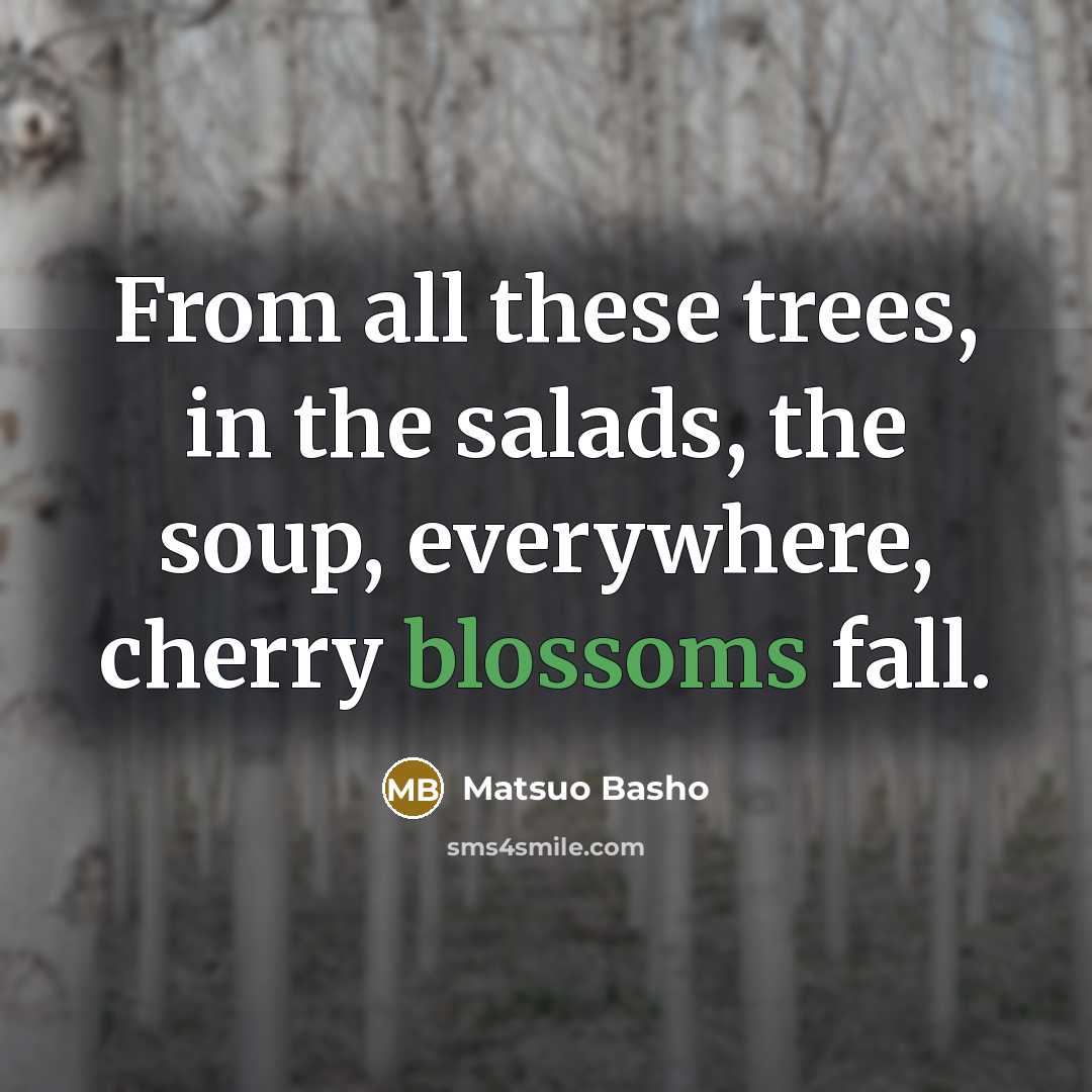 “From all these trees, in the salads, the soup, everywhere, cherry blossoms fall.” quote by Matsuo Basho