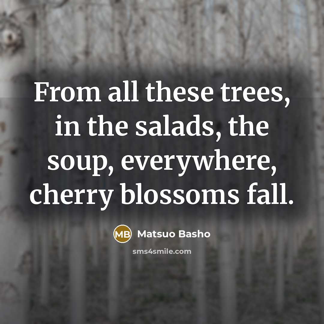 “From all these trees, in the salads, the soup, everywhere,…” quote by Matsuo Basho