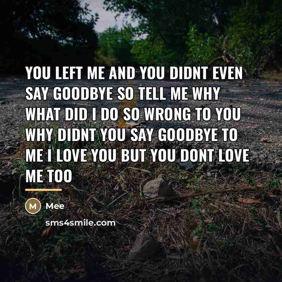 “You left me and you didnt even say goodbye so…” quote by Mee