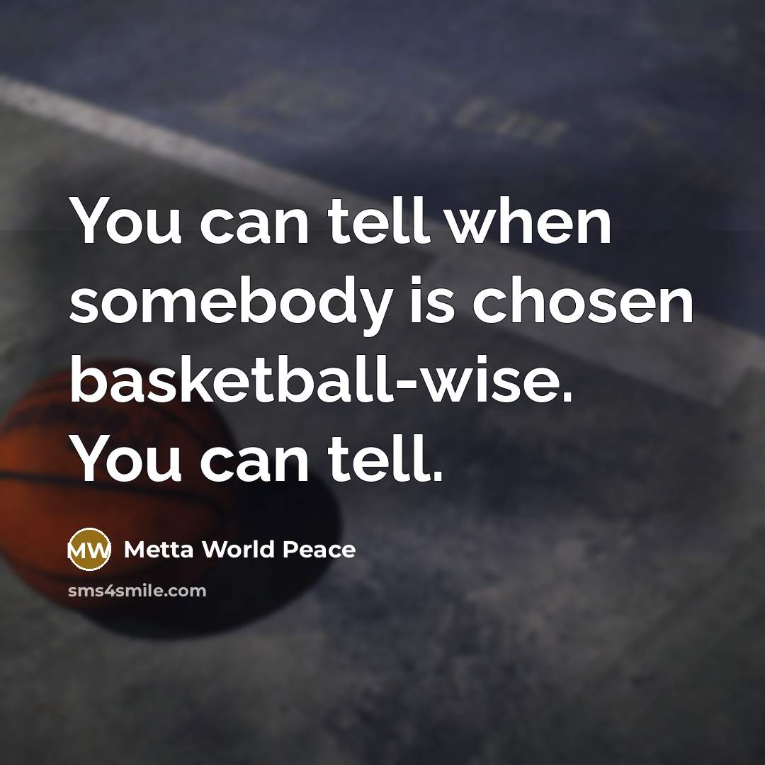 “You can tell when somebody is chosen basketball-wise. You can…” quote by Metta World Peace