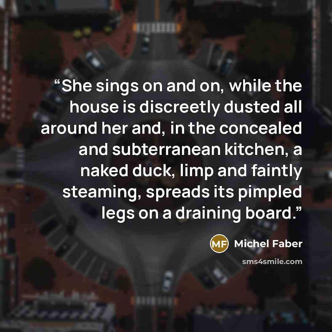 “She sings on and on, while the house is discreetly dusted all around her and, in the concealed and subterranean kitchen, a naked duck, limp and faintly steaming, spreads its pimpled legs on a draining board.” quote by Michel Faber