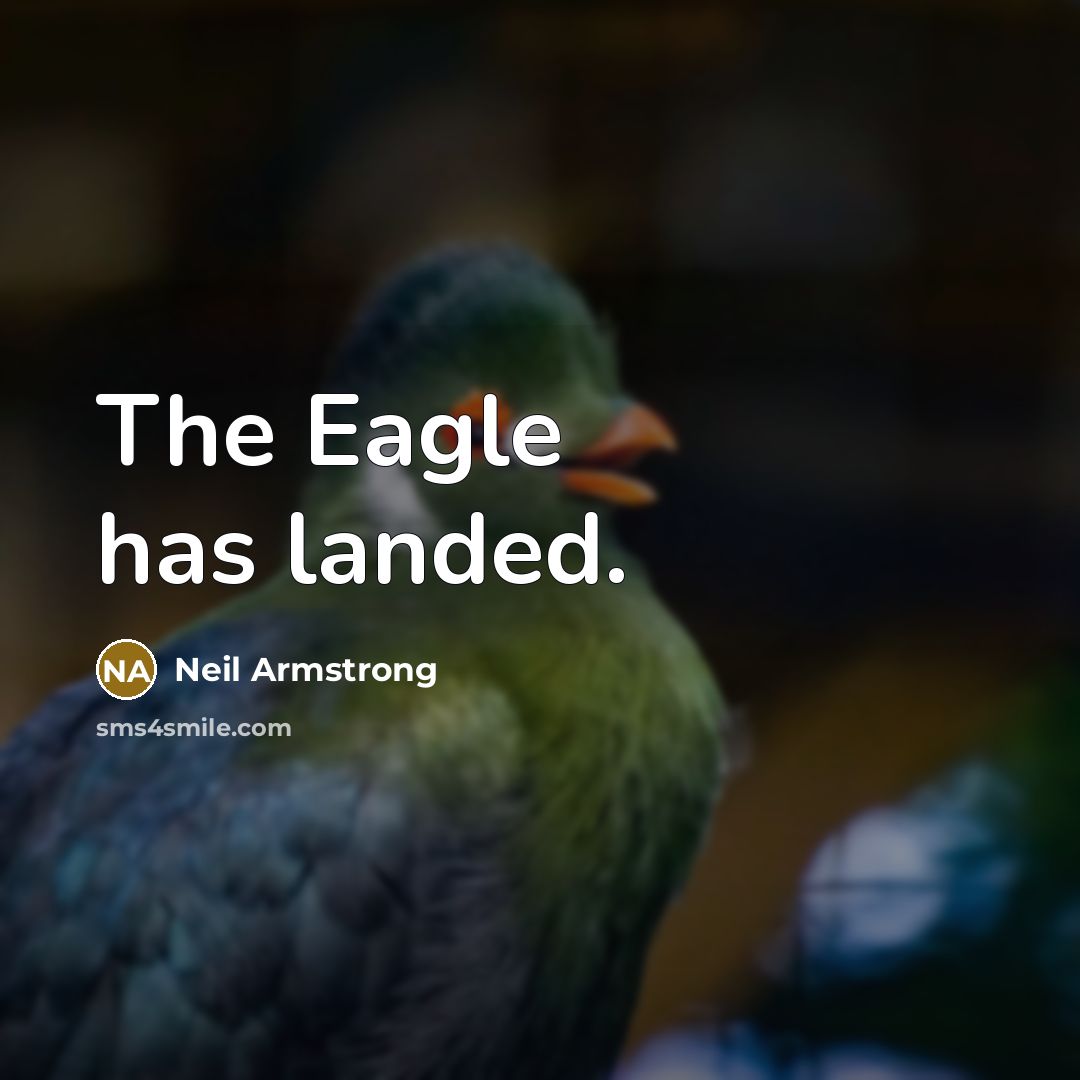 “The Eagle has landed.” quote by Neil Armstrong