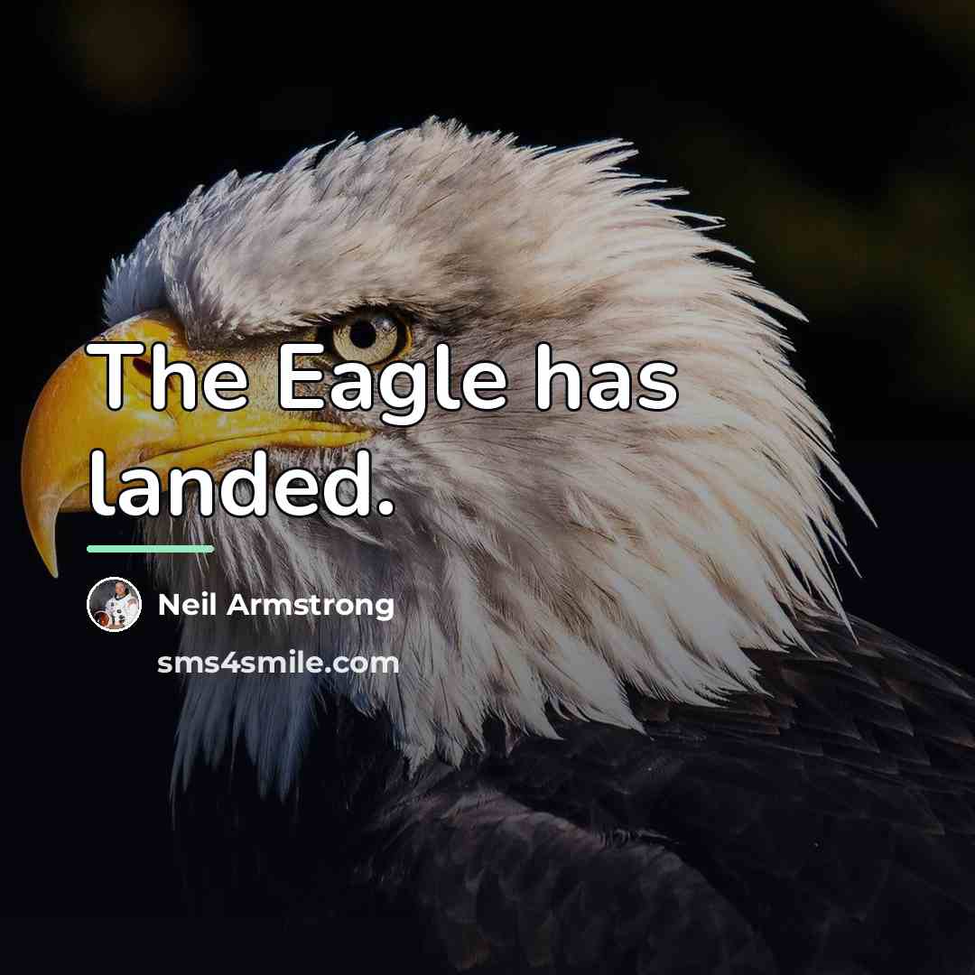 “The Eagle has landed.…” quote by Neil Armstrong