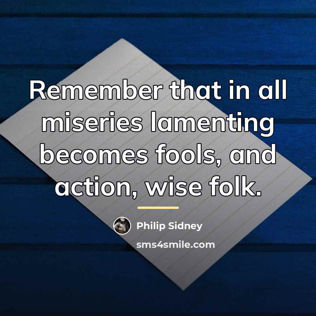 “Remember that in all miseries lamenting becomes fools, and action,…” quote by Philip Sidney