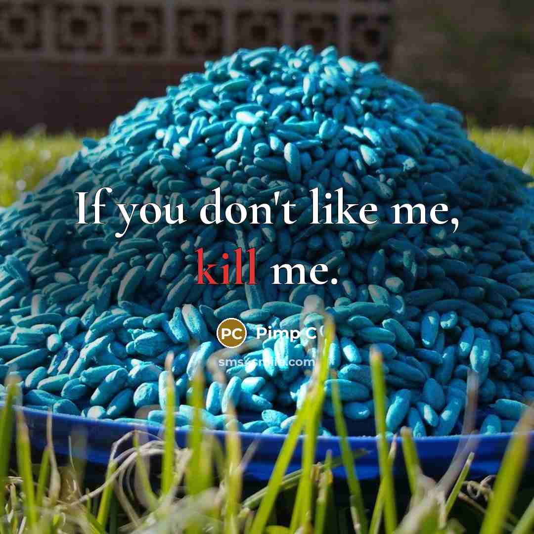“If you don't like me, kill me.” quote by Pimp C
