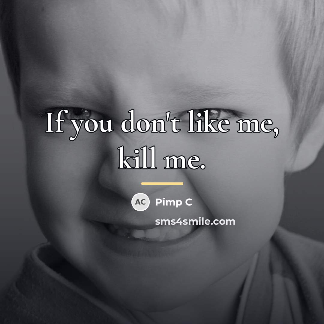 “If you don't like me, kill me.…” quote by Pimp C