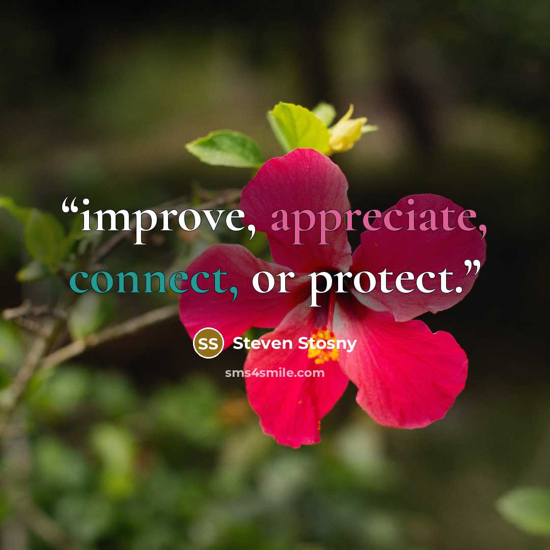 “improve, appreciate, connect, or protect.” quote by Steven Stosny