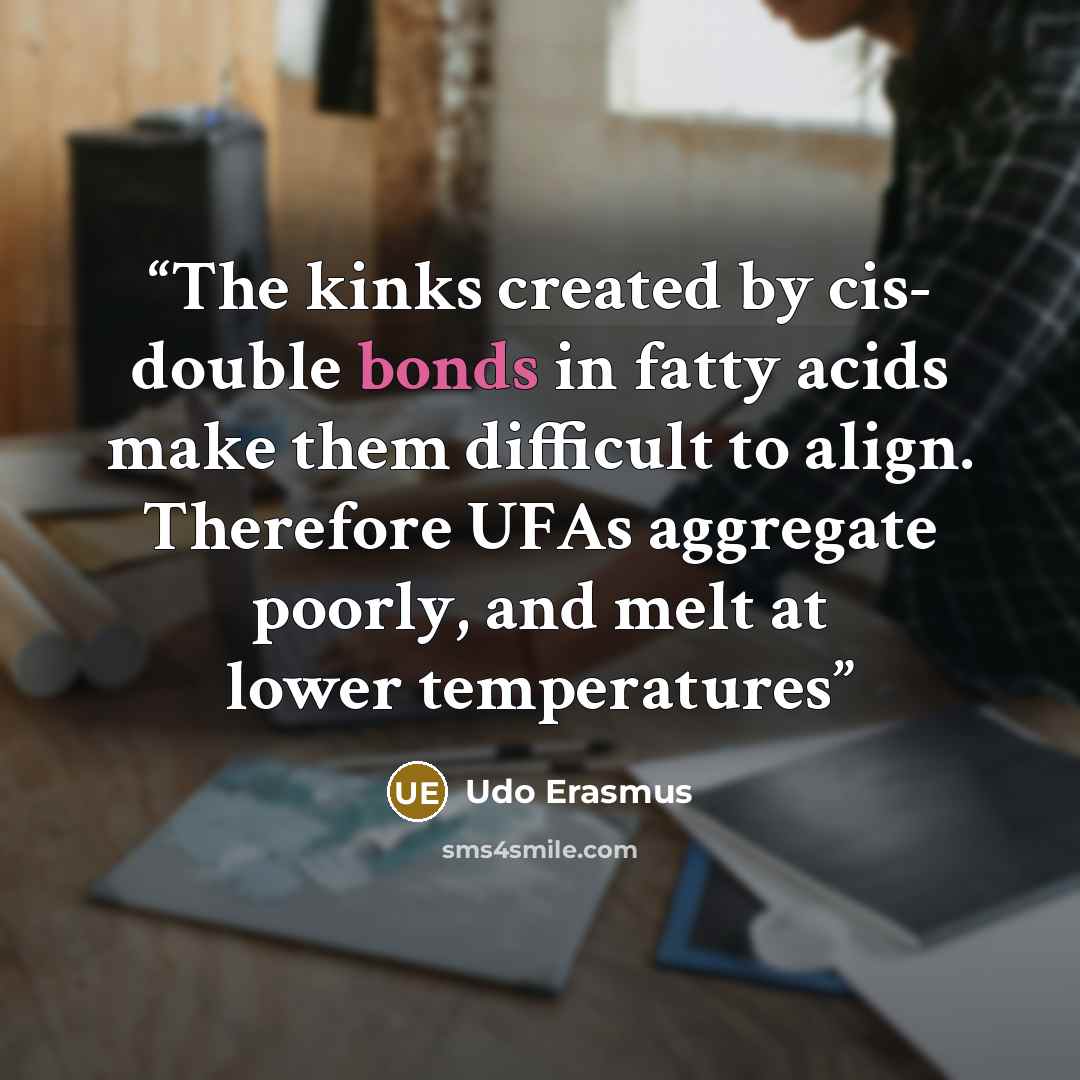 “The kinks created by cis- double bonds in fatty acids make them difficult to align. Therefore UFAs aggregate poorly, and melt at lower temperatures” quote by Udo Erasmus
