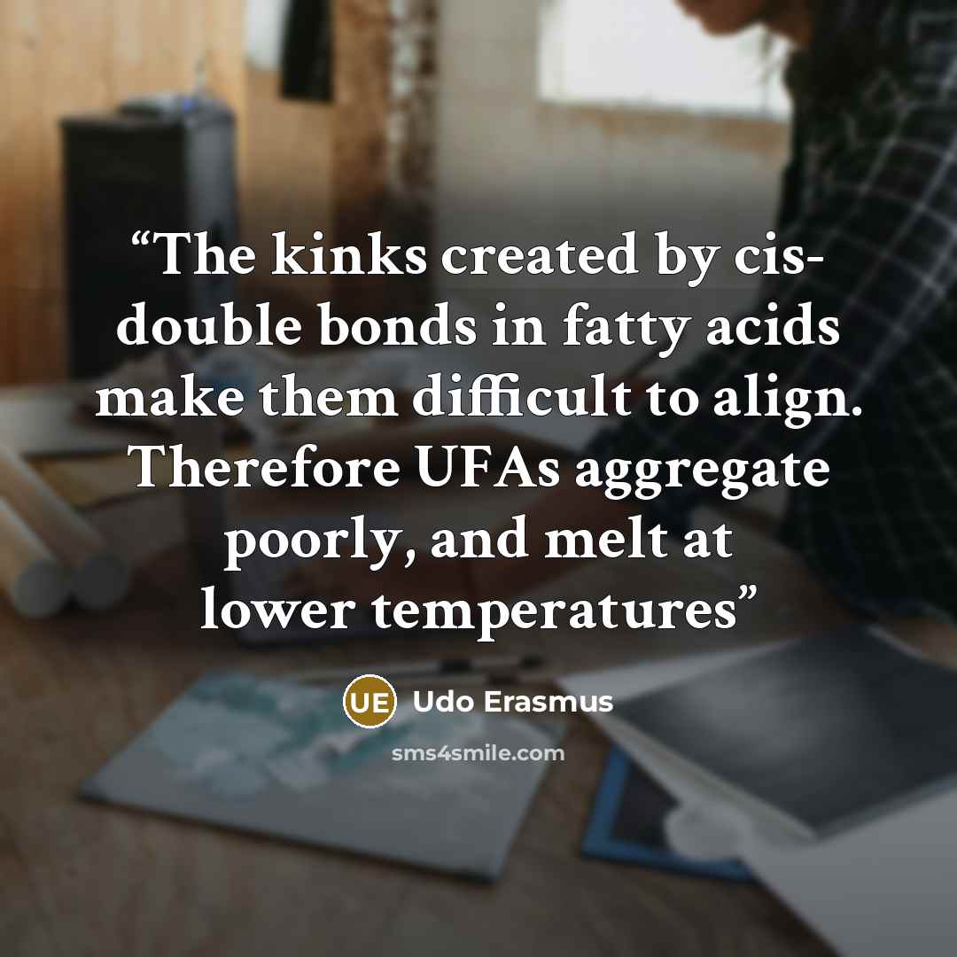 “The kinks created by cis- double bonds in fatty acids make them difficult to align. Therefore UFAs aggregate poorly, and melt at lower temperatures” quote by Udo Erasmus